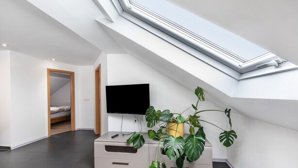 A modern room with a skylight, a flat-screen TV, a plant, and a bed in the background. - Holiday Apartment for Workers Near the Train Station (Babenhausen)