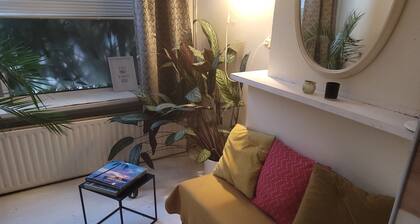 Cozy writer's house near Ahoy