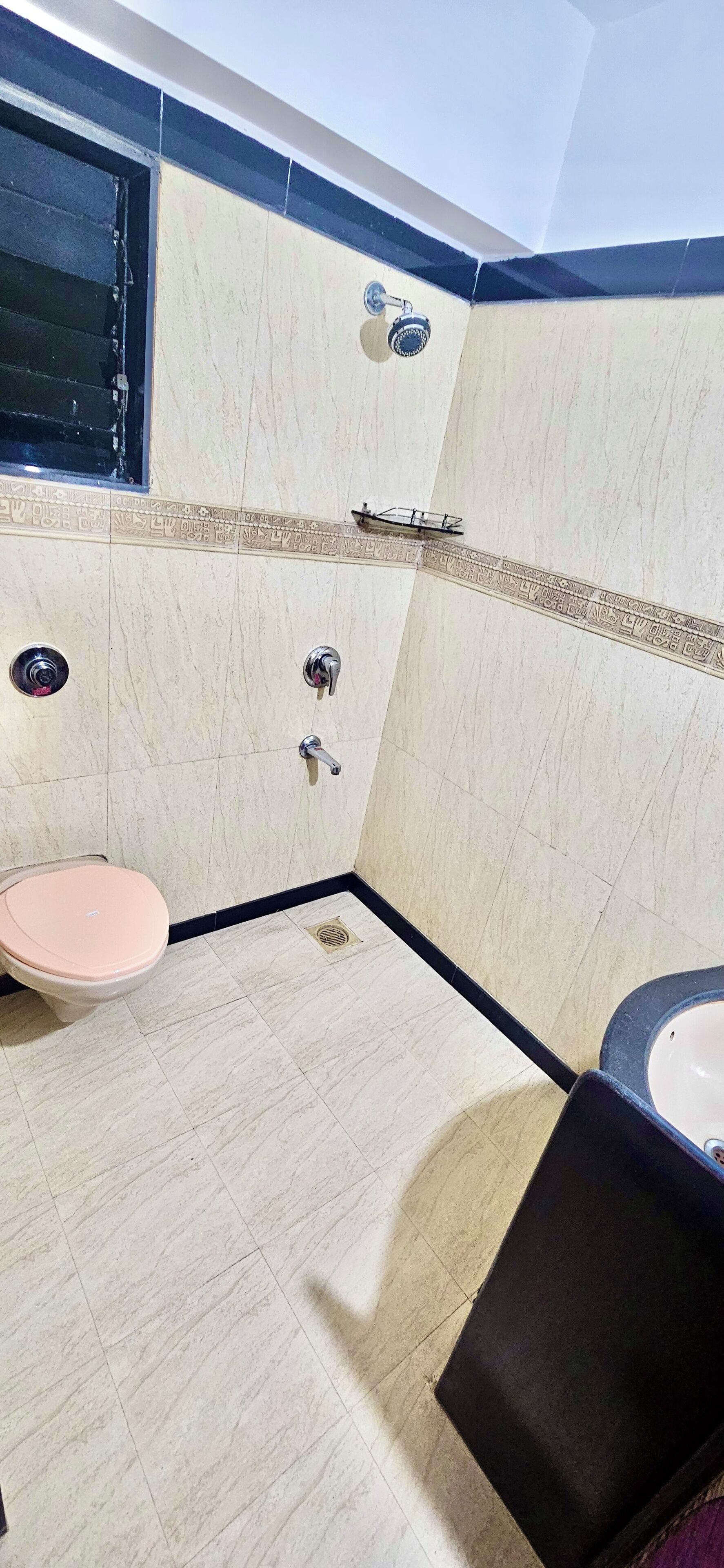Shower, towels, soap, toilet paper