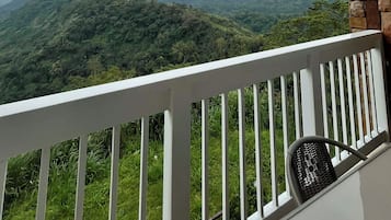 Deluxe Condo, 2 Bedrooms, Balcony, Lake View | Balcony view