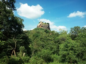 Miscellaneous - Sujatha Tourist Rest (Dambulla)