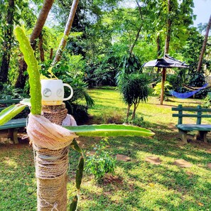 Property grounds - Sujatha Tourist Rest (Dambulla)