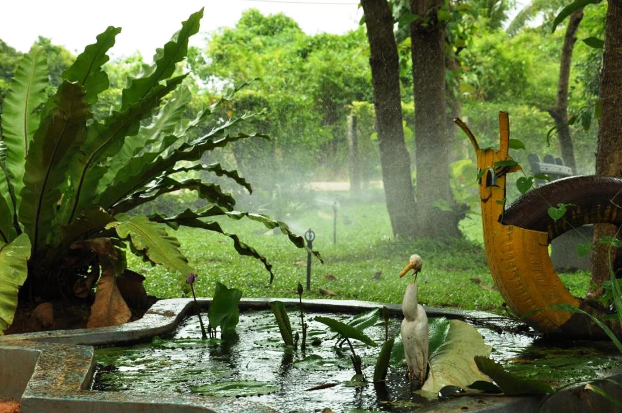 Un ave posada en una fuente rodeada de exuberante vegetación.