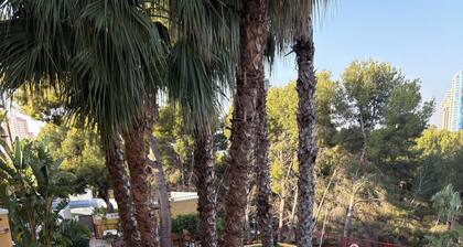 Apartamentos Nicaragua Benidorm
