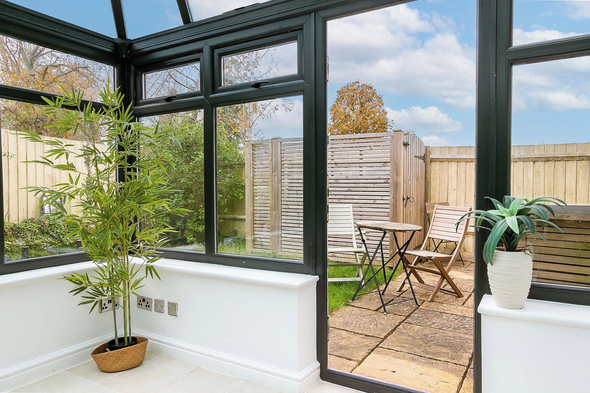 A conservatory with a large window, a potted plant, and a wooden fence in the background.