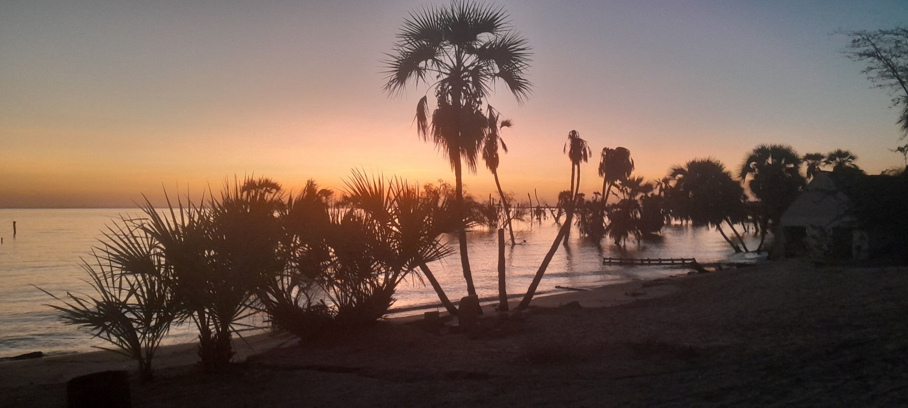 Une scène de plage avec des palmiers et une cabane au bord de l’eau, au coucher du soleil.