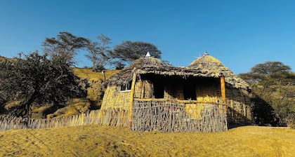 Eliye Springs Resort