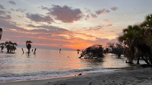 A beach with palm trees and a sunset. - Eliye Springs Resort (Eliye)