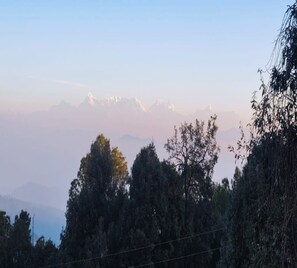 Miscellaneous - Shree Guru Homestay (Kosiyakutoli)