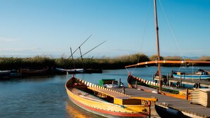 Un quai où sont amarrés plusieurs bateaux, une jetée en bois et une eau calme.