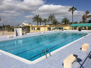 Ein Swimmingpool mit klarem, blauem Wasser, umgeben von Palmen und einem Gebäude mit grüner Dachbegrünung.