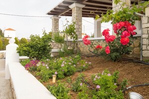Property grounds - Villa Dimitra Gennadi (RHODES)