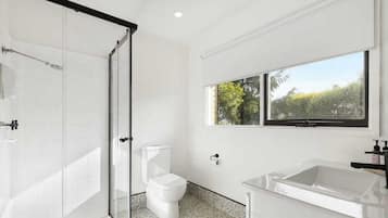 Shower, jetted tub, hair dryer, towels