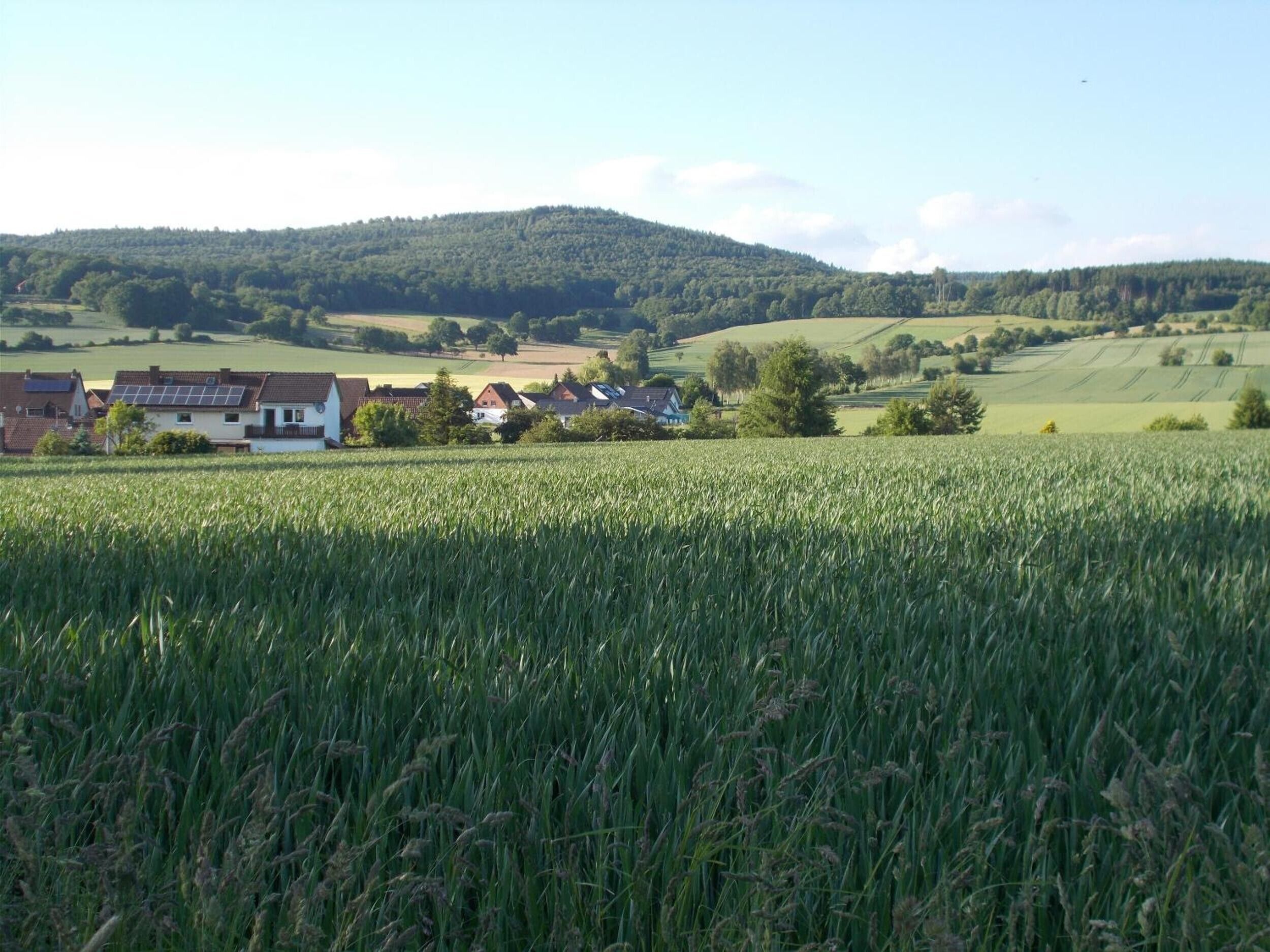 Un paysage rural avec un champ de cultures, une rangée de maisons et une colline en arrière-plan.