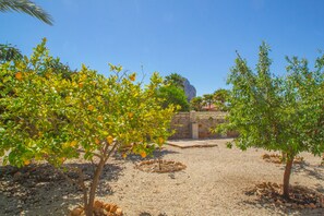 A garden with trees bearing fruit, a stone wall, and a clear blue sky. - Villa Cohete - Plusholidays (Calpe)
