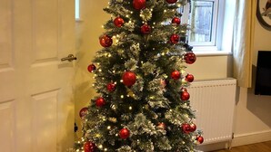 A Christmas tree with red ornaments and lights in a room with wooden flooring and a white door. -  Cosy warm cottage Cirencester,Capital of the Cotswolds,bibury close pet frendly (Cirencester)
