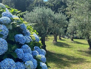 Suíte, vista para o jardim, no jardim | Vista para o jardim