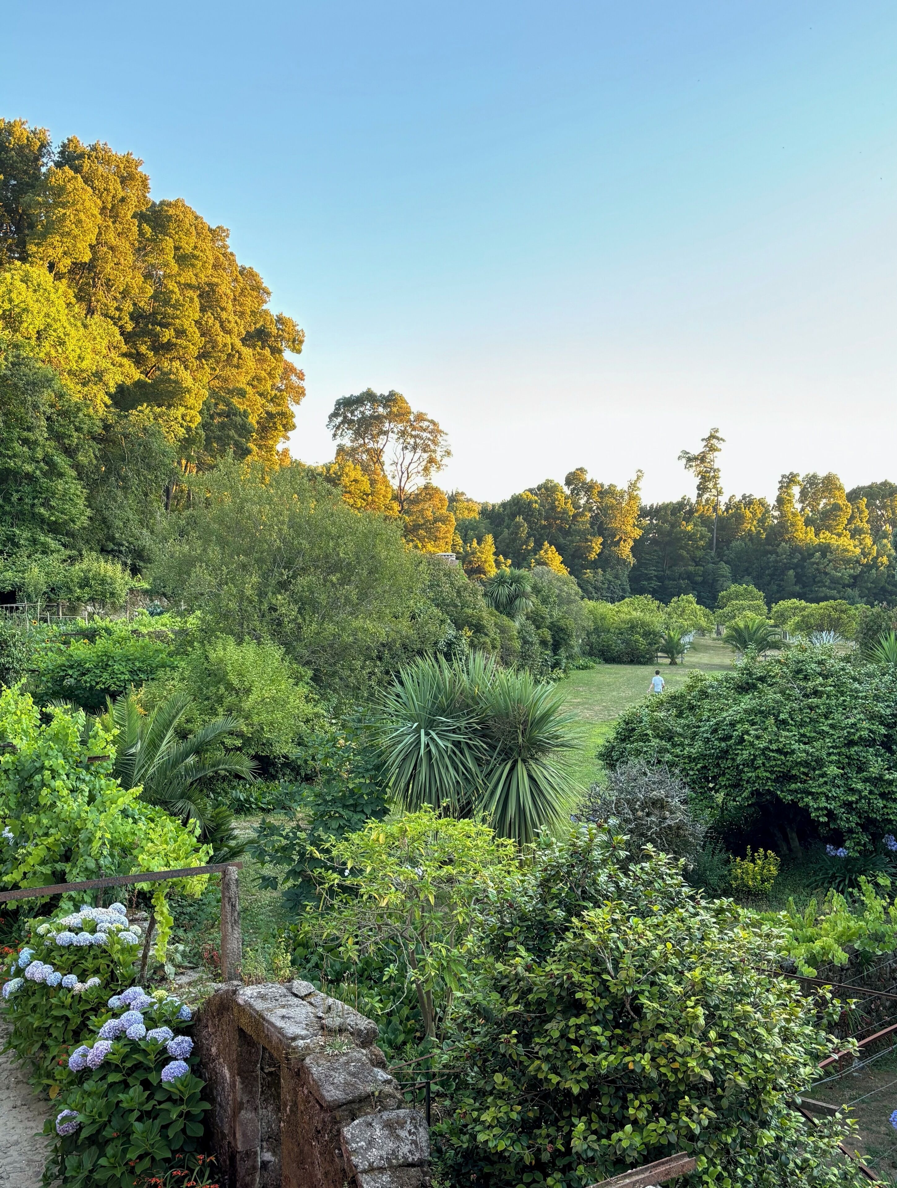 Garden view