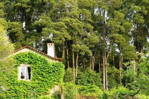 Suite, Garden Area | Garden view - Convento de Cabanas (Viana do Castelo)