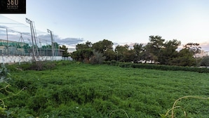 Property grounds - A lovely vacation 5BR/5BATH home with WIFI & AC (L-Imsida)