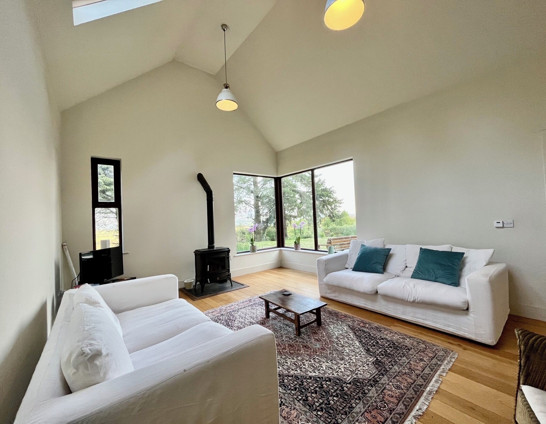 Smart TV, fireplace, DVD player, books