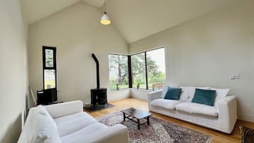 Smart TV, fireplace, DVD player, books