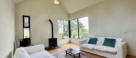 Smart TV, chimenea, reproductor de DVD, libros