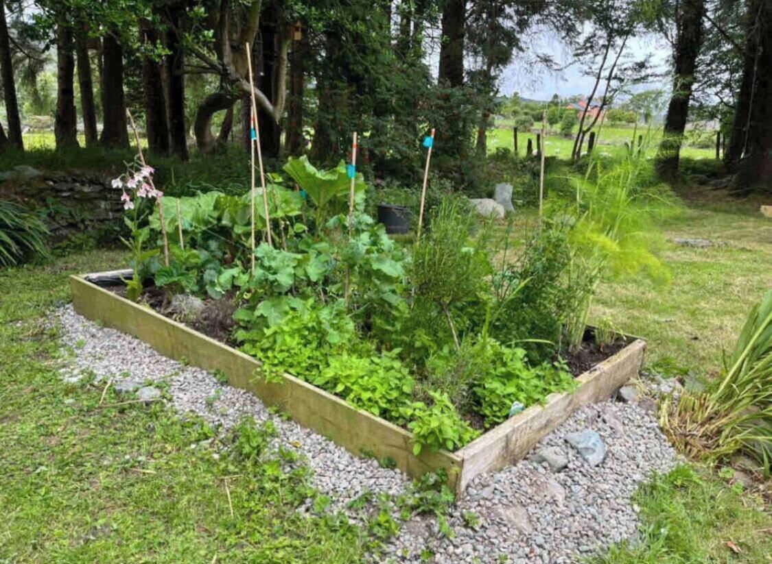 Jardines del alojamiento