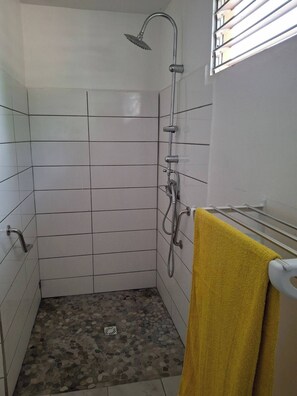 Shower, towels, toilet paper