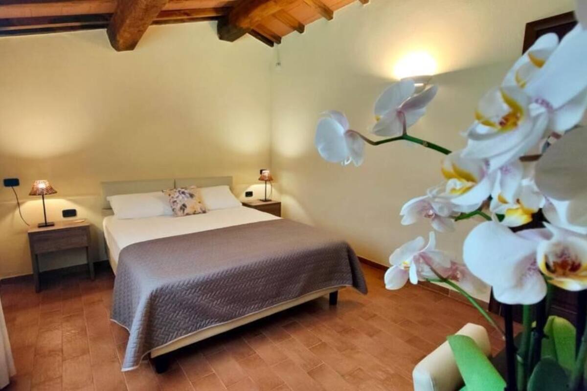 Appartement Confort, vue jardin
