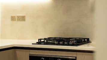 Deluxe Apartment, Balcony, City View | Private kitchen | Fridge, microwave, oven, stovetop