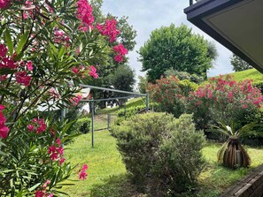 Ein Garten mit rosa Blumen, einer Rasenfläche und einer Metallkonstruktion.
