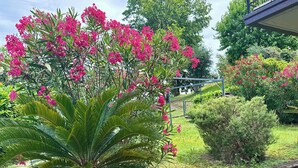 Un jardín con diversas plantas y un muro de piedra.