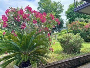 A garden with a variety of plants and a stone wall. - App.1- Le Terrazze del Garda Immobili e Soluzioni (Manerba del Garda)