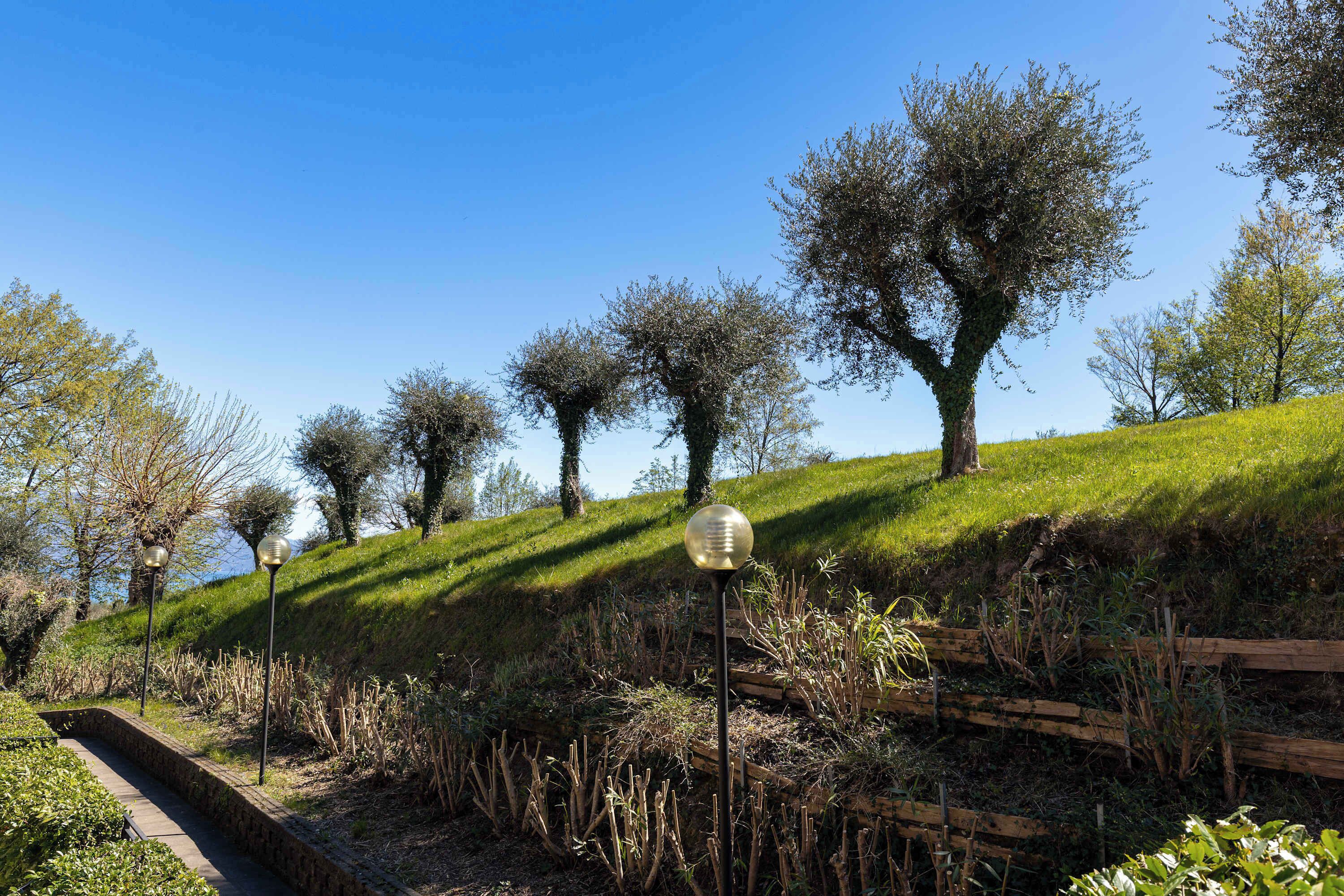 A pathway with lamp posts, a grassy slope, and trees.