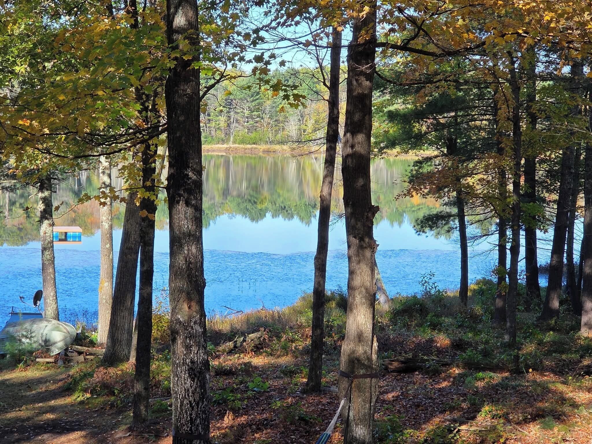 A serene lake surrounded by tall trees with a dock extending into the water.