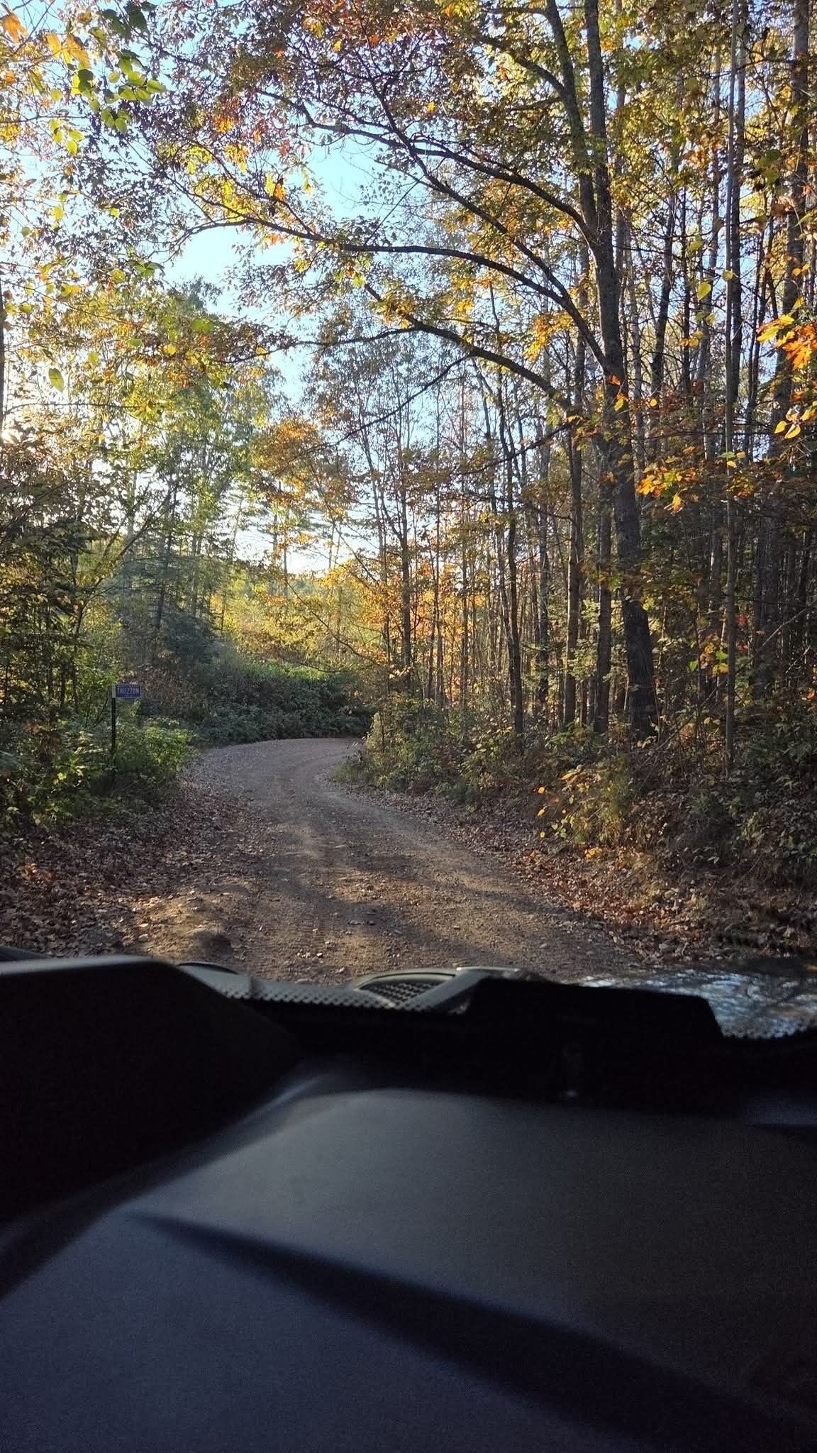 A dirt road surrounded by trees with autumn foliage, leading into a forest.