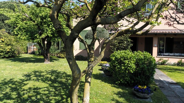 Un giardino curato con alberi maturi e diverse siepi.