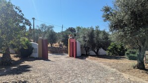 Una entrada empedrada a una propiedad con un portón rojo, rodeada de olivos y un muro de piedra.