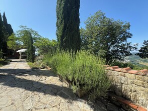 Property grounds - A romantic home for two. Two Birds, One Room—La Villa ARTE del Lupo (Subbiano)