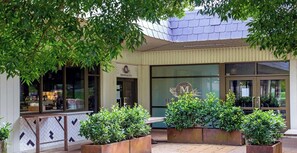 Outdoor dining - North Star – flexible home with separate granny flat, multiple living areas, gardens and firepit (Robertson)