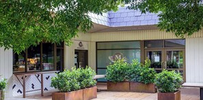 Outdoor dining - Redwood - relaxed one-level Highlands escape with fire, gardens and space (Robertson)