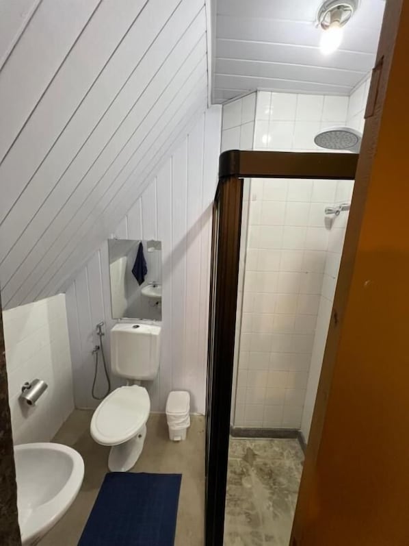 A bathroom with a toilet, bidet, and shower area. - History Hostel (Ouro Preto)