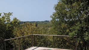 Une piscine rectangulaire dotée d’une terrasse en bois et d’une rambarde en métal, entourée d’arbres et surplombée par un ciel dégagé.