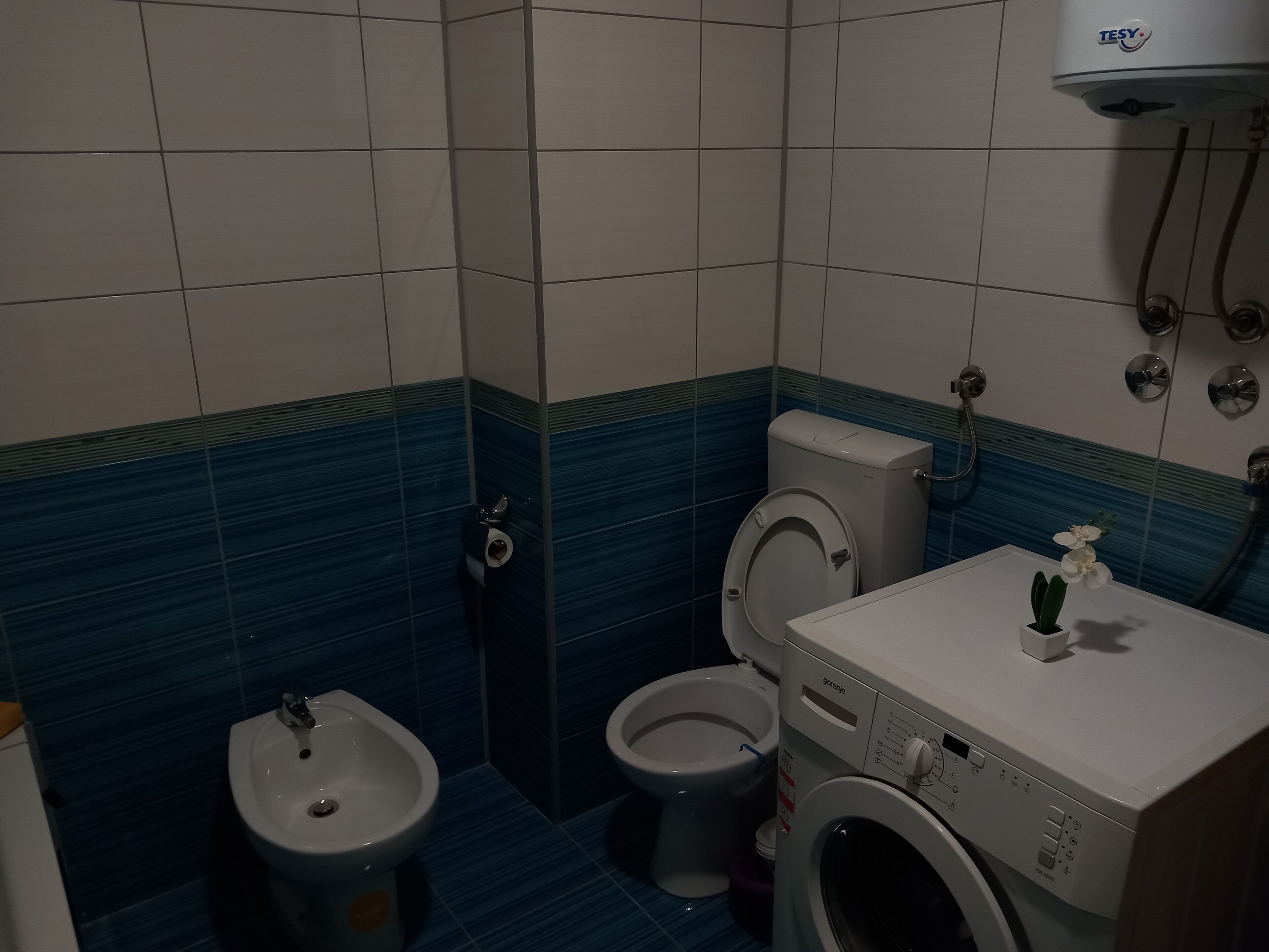 Sèche-cheveux, bidet, serviettes fournies, savon