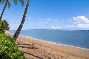 A beach with palm trees and a clear blue sky. - Beachfront Lahaina Shores 203 | Direct Oceanfront Studio (Lahaina)