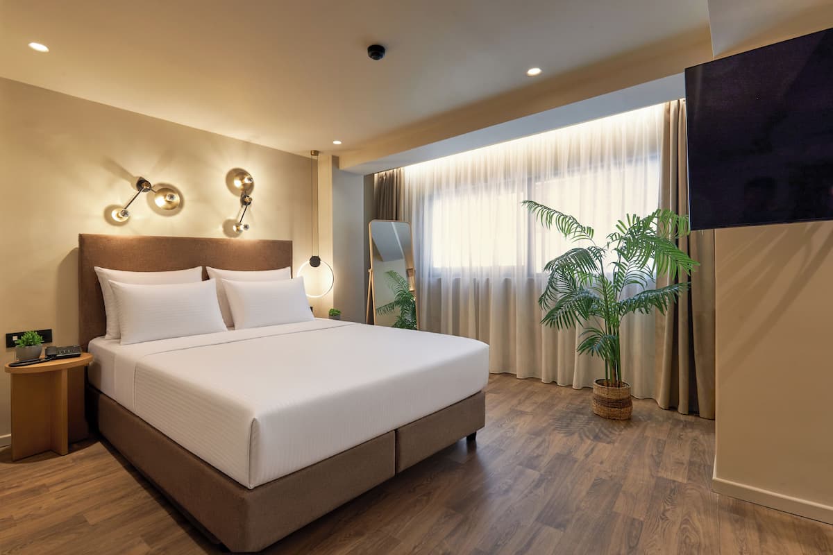 Una habitación de hotel moderna con una cama grande, mesitas de noche, un televisor de pantalla plana, un espejo y una planta en maceta.