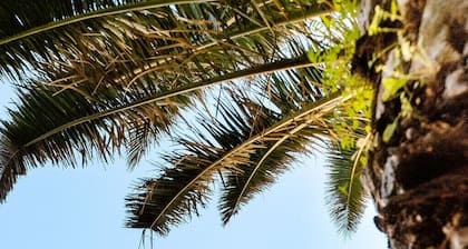 Villa Positiva with heated pool