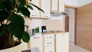 A modern kitchen with white cabinets, a built-in stove, and a large potted plant. - Vinko in Rovinj - Istrien / Vinko in Rovinj - Appartement für 2-3 Personen AP2 (Rovinj)