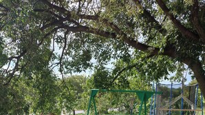 A playground with swings, a trampoline, and a netted climbing area. - Adorable studio apartment with AC in charming Grebaštica perfect for getaway (Grebaštica)
